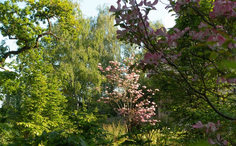 Horus paysages_Stanislas JUNG-31