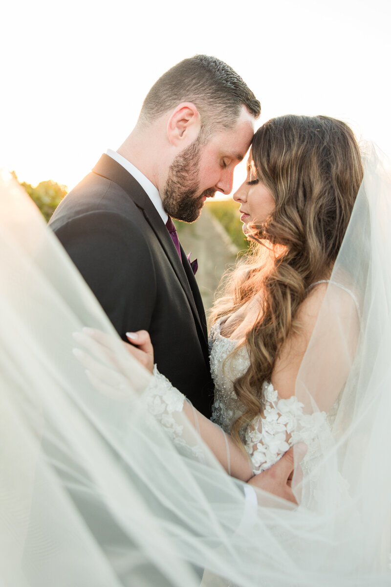 bride and groom portraits at ford farm weddings
