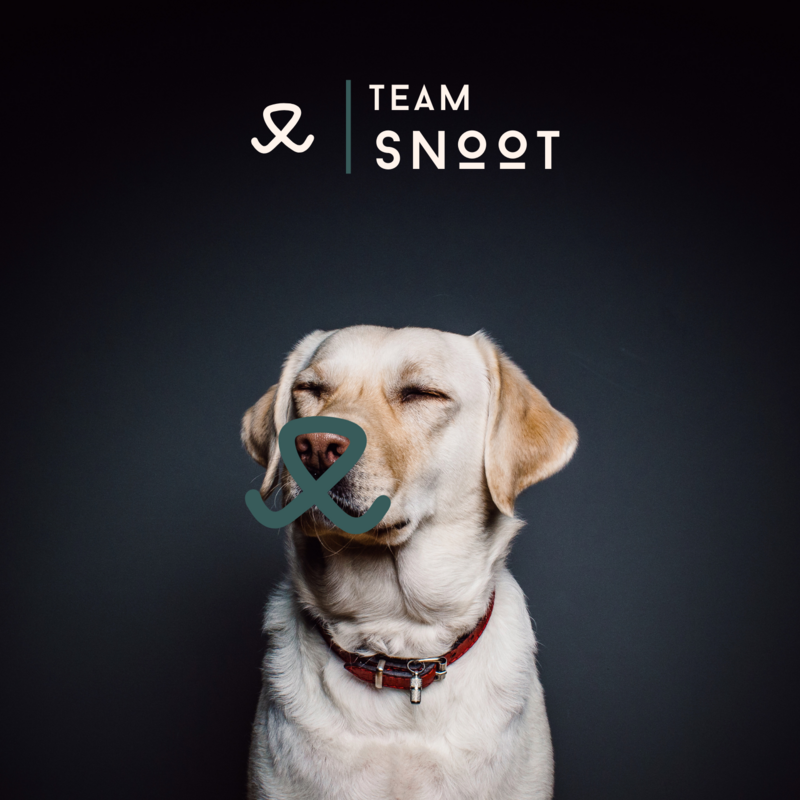 Team Snoot canva brand identity for a modern and earthy brand