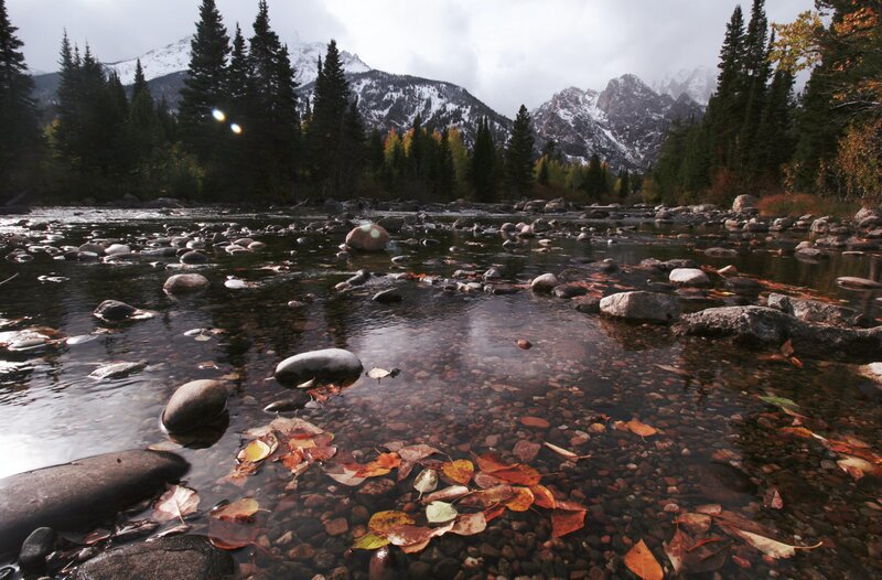 Yoga retreats in the Kootenay mountains