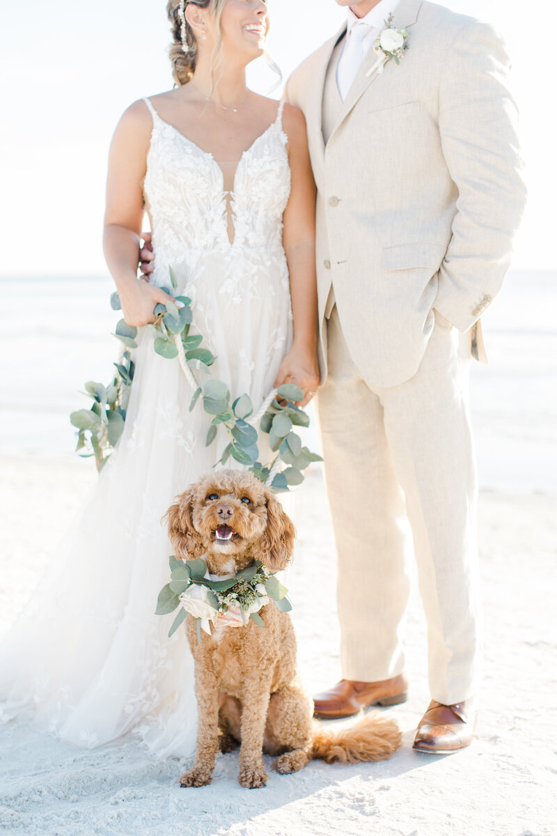 bride and groom standing on the beach with their dog