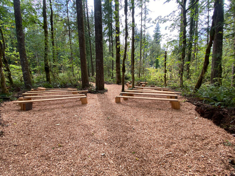 Wooden benches set up in a forest ceremony space