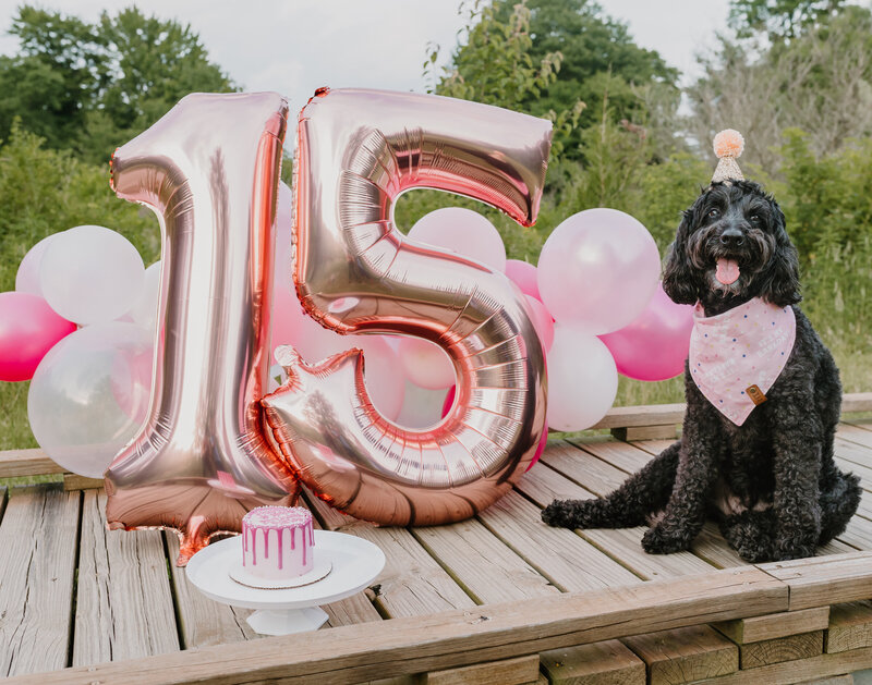 Charley Mae Photography offers expert dog photography on Hilton Head Island. Capture cherished moments with personalized, professional photo sessions. Book now!