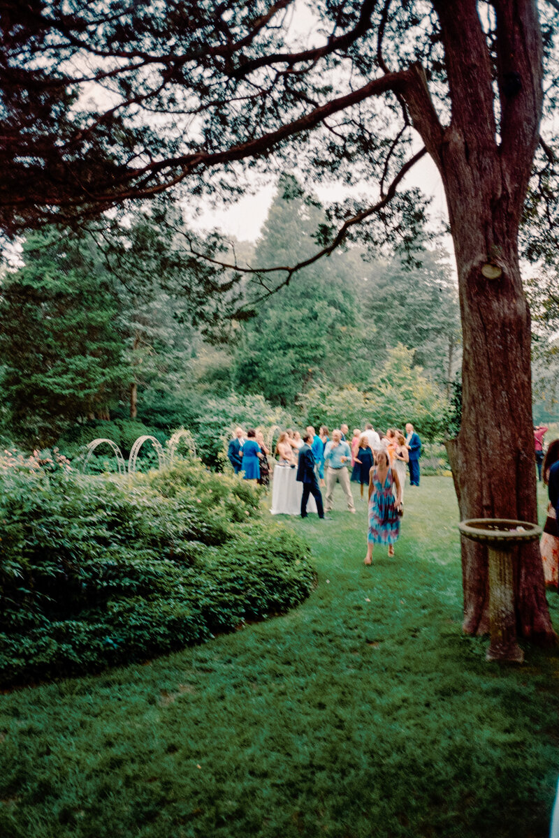 Film photo of guests mingling during a summer wedding at Long Hill in Beverly, Massachusetts, surrounded by lush gardens and towering trees — a scenic moment by a film wedding photographer.