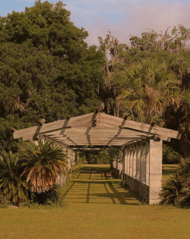 A pavilion going straight back is photographed with palm trees and swampy trees in the background