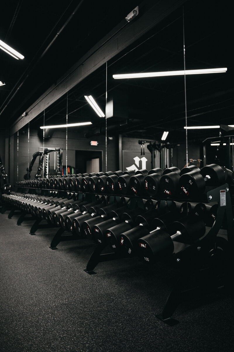 Rows of strength machines at Vice Gym