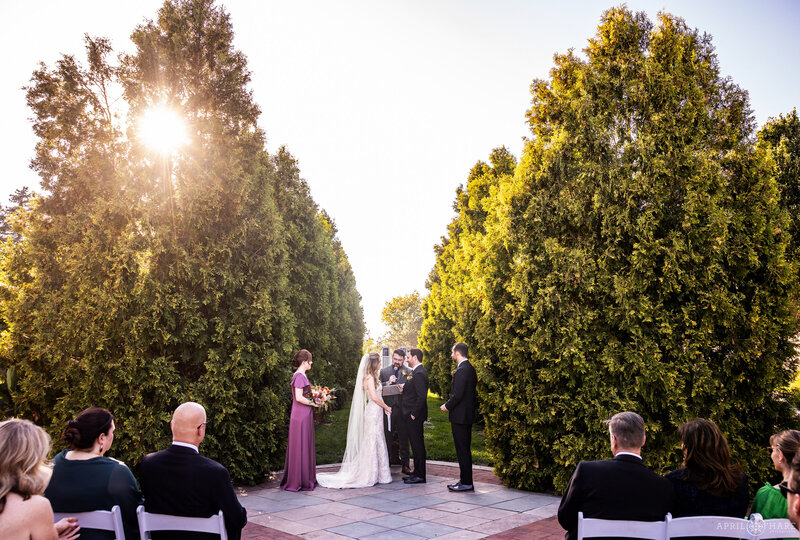 Sunshine pours through the evergreen trees that line the Romantic Gardens at Denver Botanic Gardens