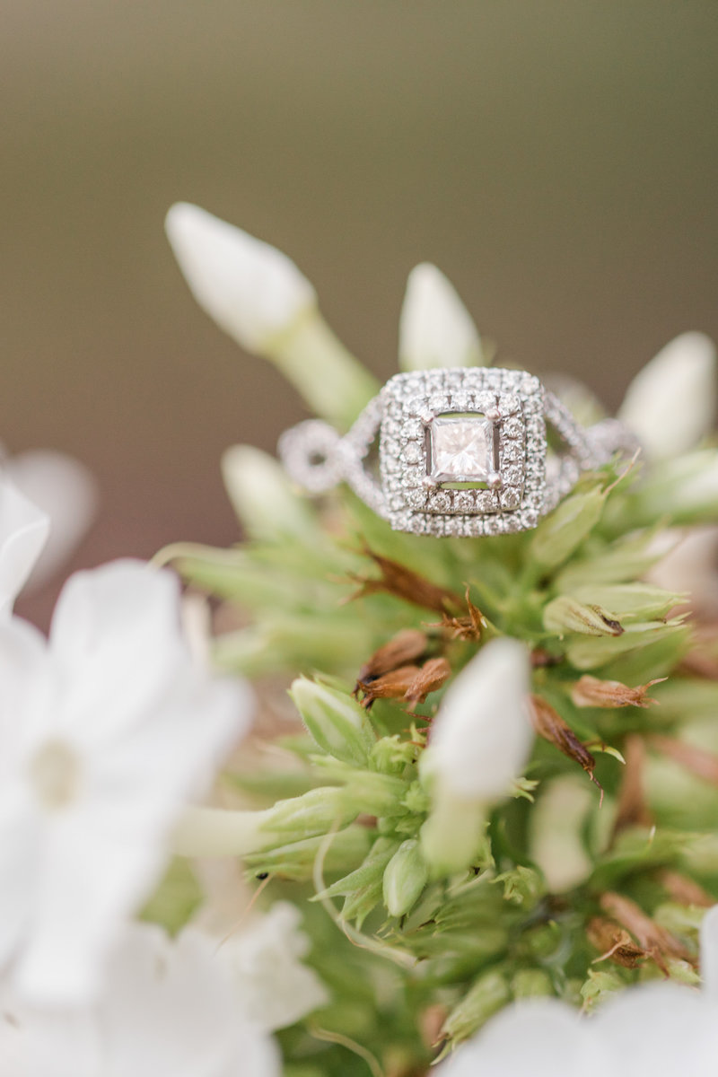 Jennifer B Photography-Sandhills Gardens-Caleb & Laura-Engagement Session-2019-0189