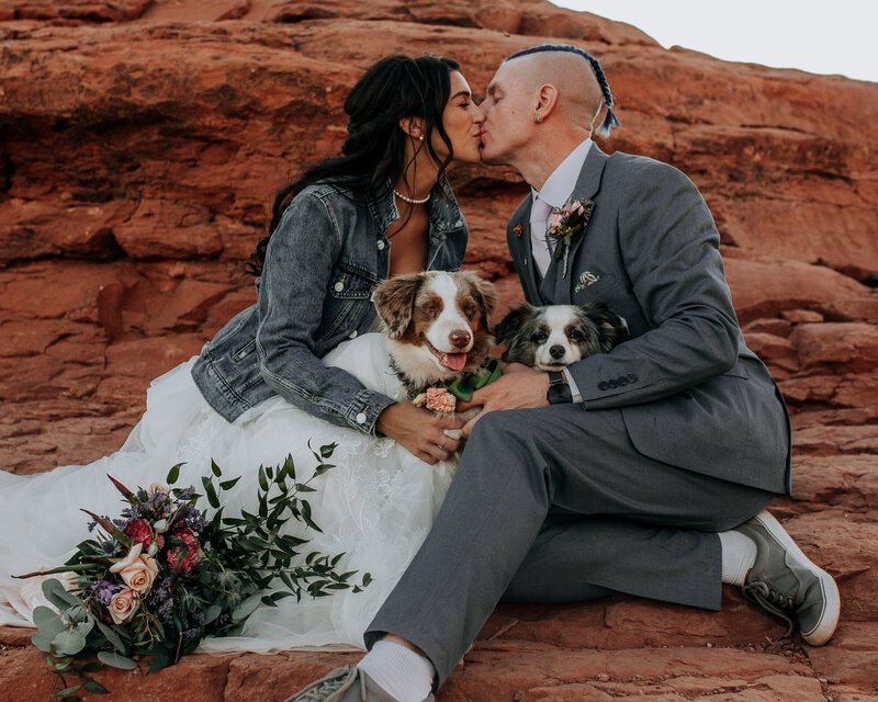 Australian shepherd dogs on hiking elopement with the bride and groom