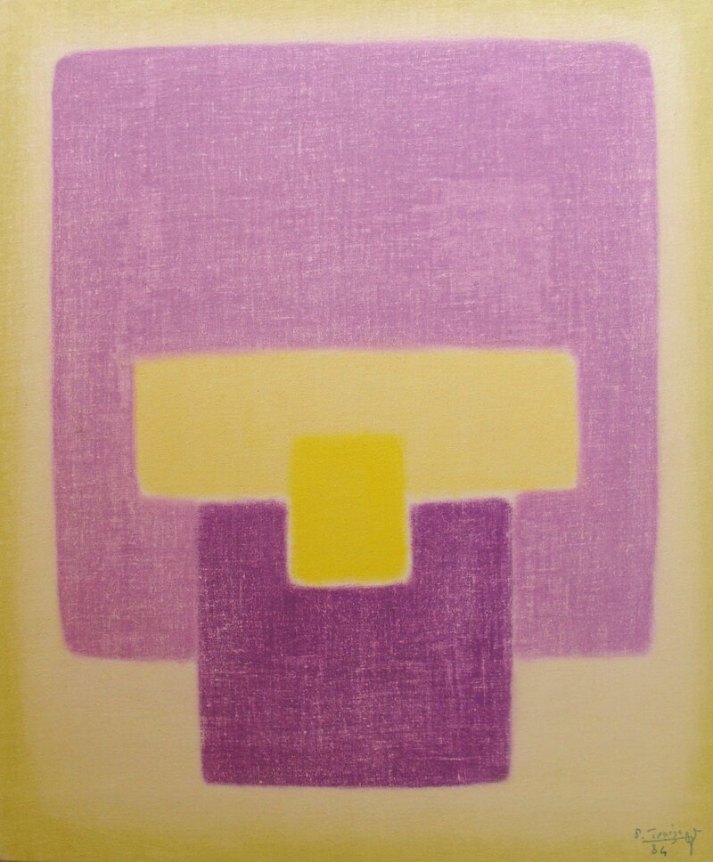 Paul_Teneze_couleurs_vegetales_5_iris_cultivé