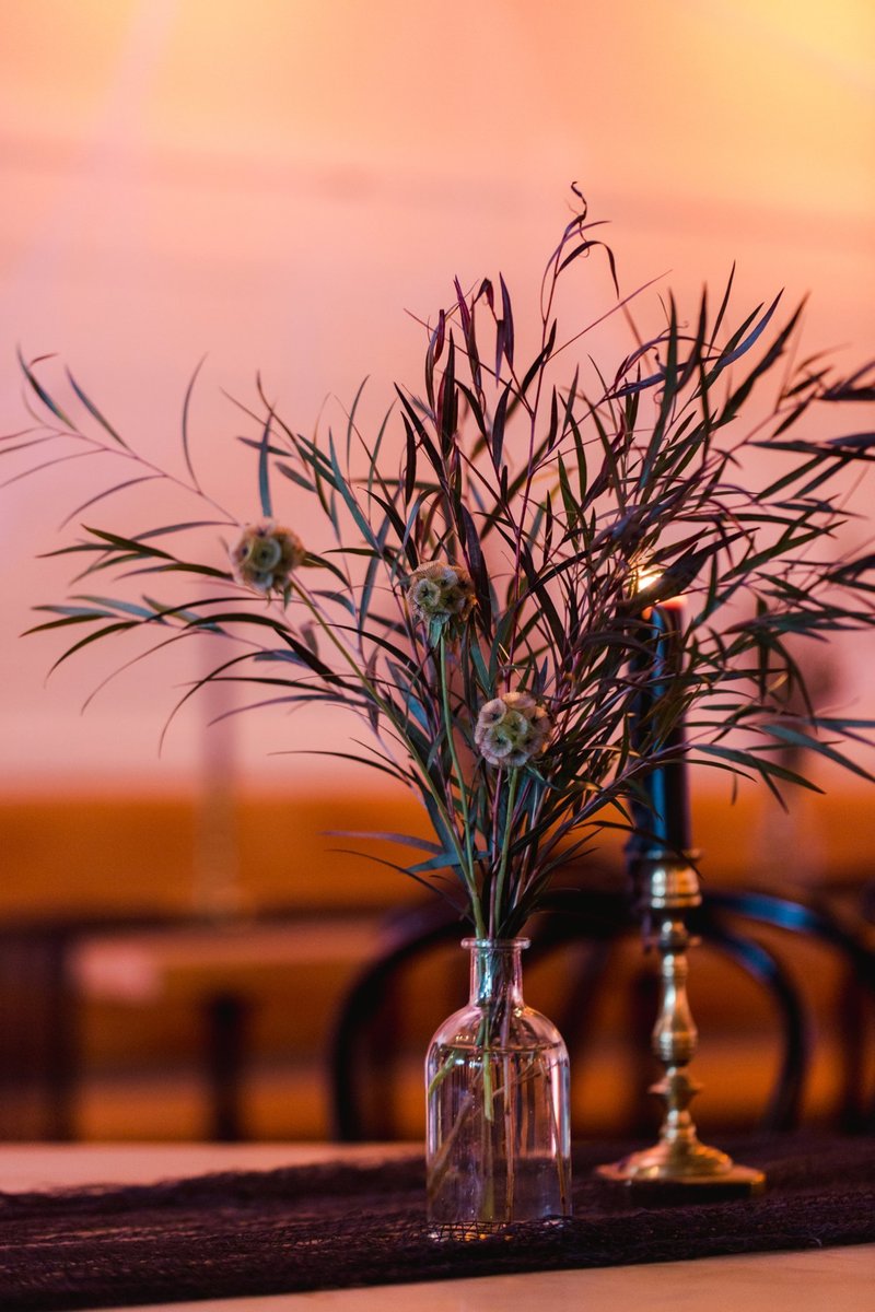 The-Grange-Community-Kitchen-Hamburg-NY-Halloween-Party-Buffalo-Bills-61