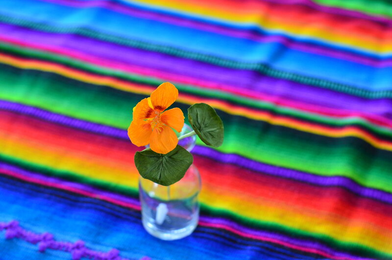 Orange nasturtium on a colourful mat