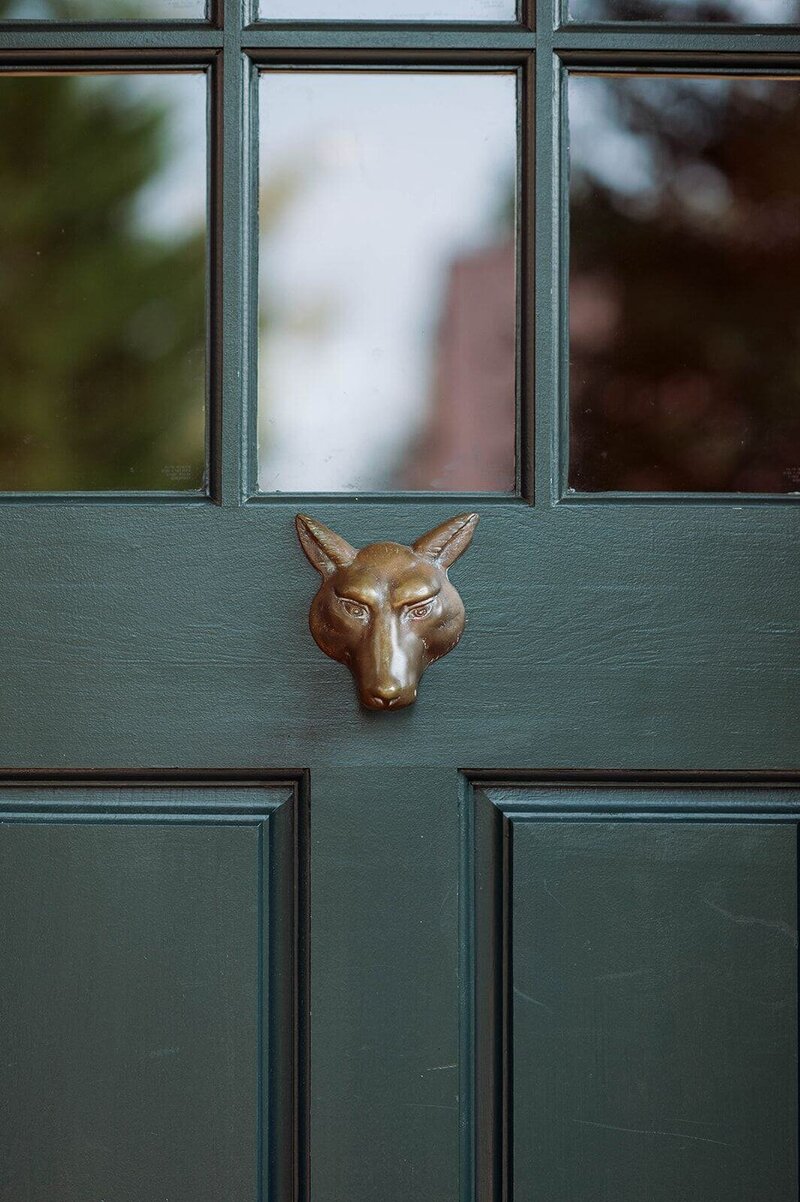Red-Fox-20