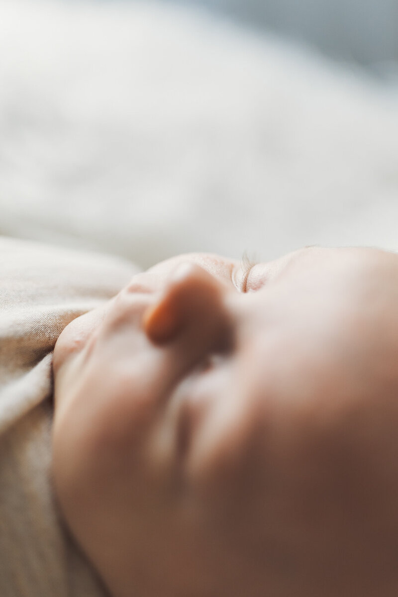 elle michele photography - beaufort photographer - bluffton photographer - hilton head photographer - studio photographer - newborn photographer-5