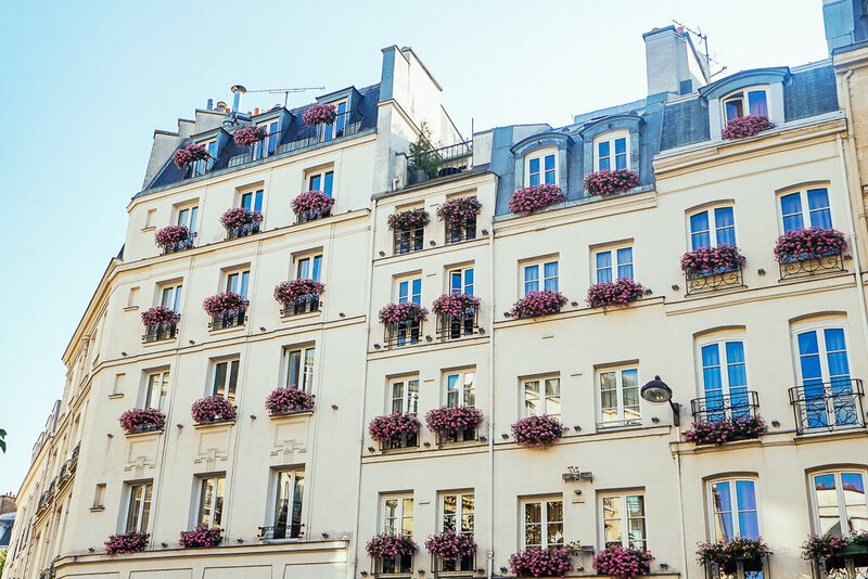 flower boxes on a parisian building