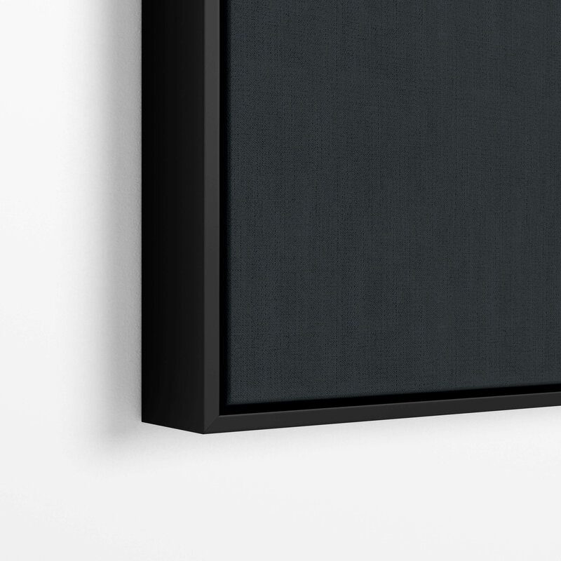 Fine Art Canvas with a black frame featuring Project Stardust micrometeorites collected and photographed by Jon Larsen and Jan Braly Kihle_Black Edit