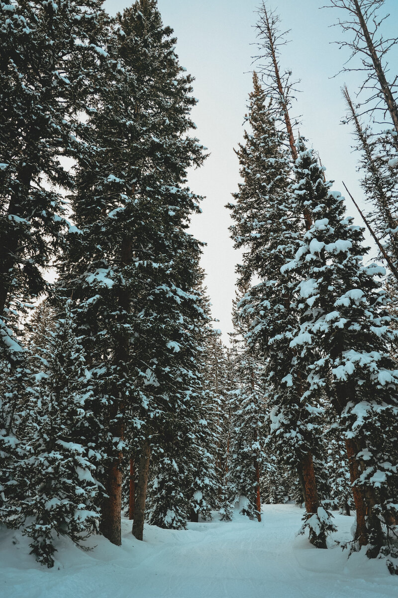 Outdoor-48
