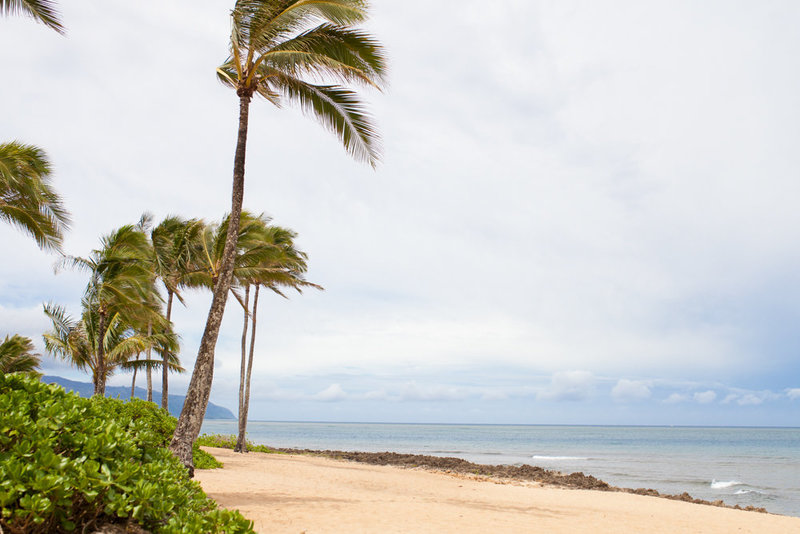View Oahu Beach Wedding Venues And Locations In Hawaii