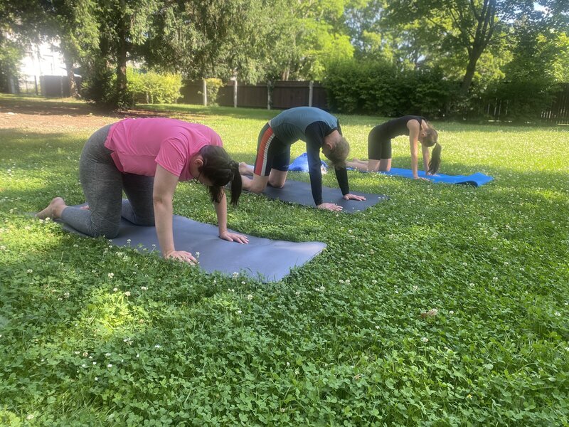 Pilates, Ernährungstraining und zyklusorientiertes Training in den Bezirken Mödling und Baden für ganzheitliches Wohlbefinden – sowie Fit im Büro: Dein Team-Training für mehr Gesundheit am Arbeitsplatz.
