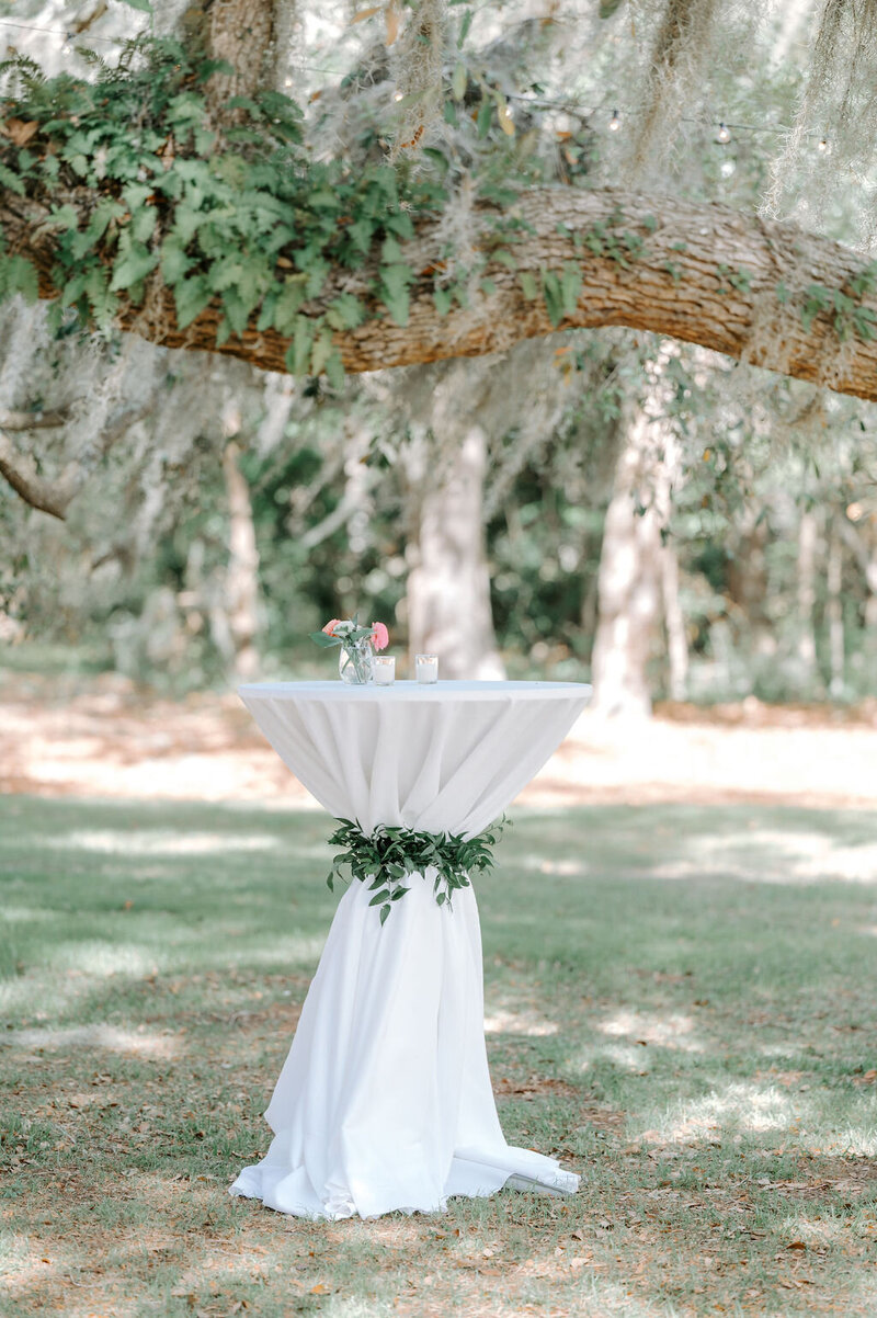 wingate-place-cristina-johnny-charleston-wedding84351