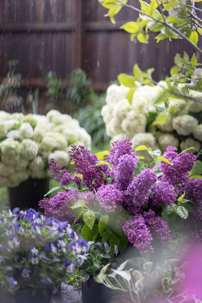 Purple and White Wedding Flowers