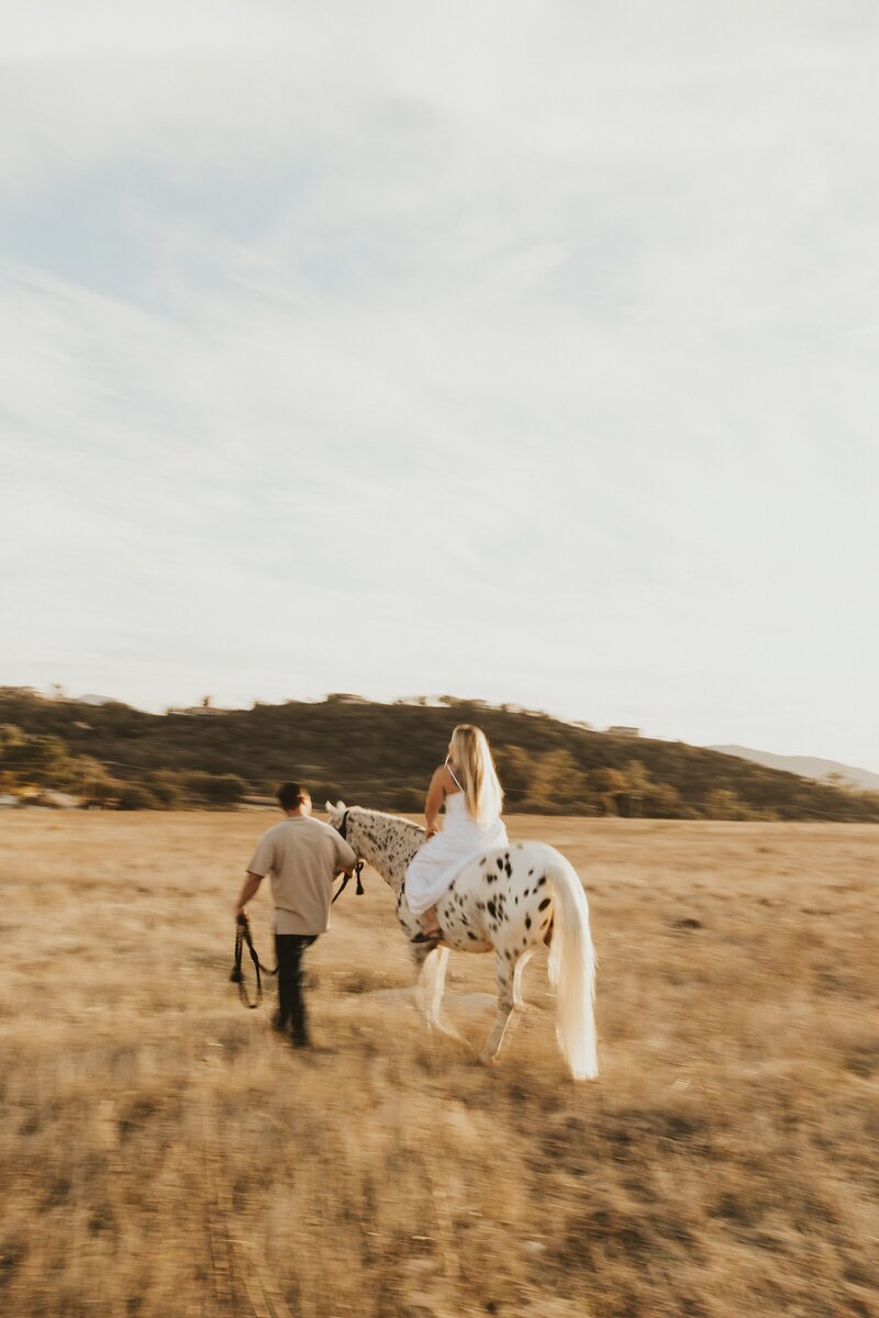couples photoshoot in San Diego with their horse