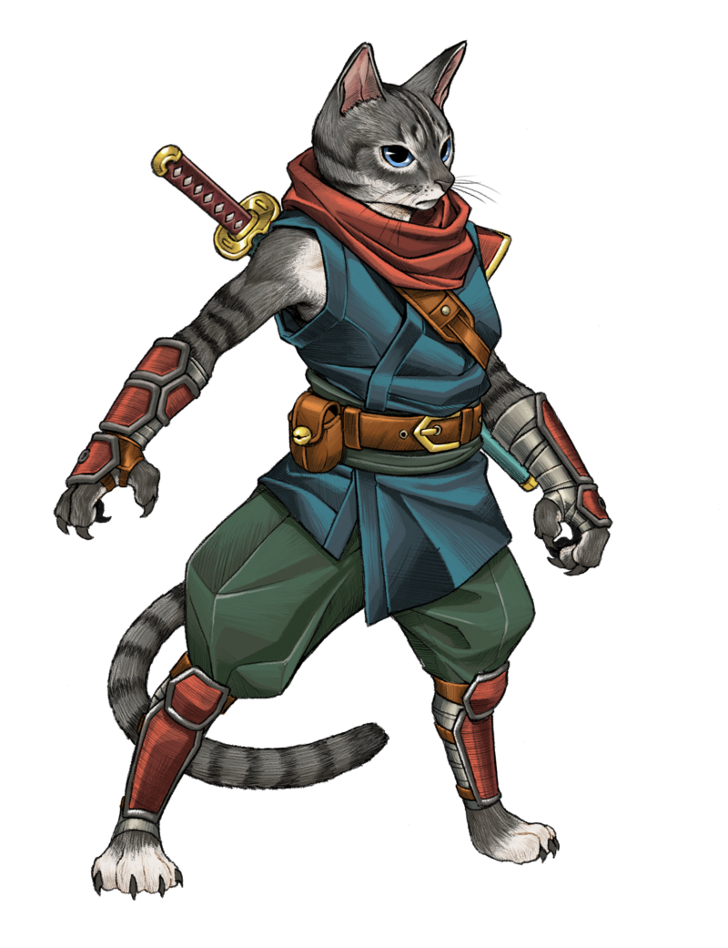 Ninja Cat