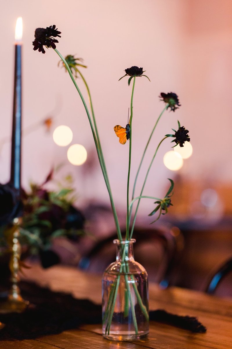 The-Grange-Community-Kitchen-Hamburg-NY-Halloween-Party-Buffalo-Bills-14