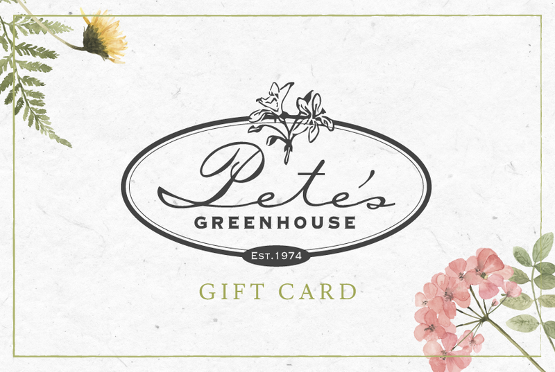 Not sure what gift to give a friend or family member? Live out of town but want to give the gift of Pete's to a local in Amarillo, Texas? Buy a Pete's Greenhouse gift card and let your loved ones choose the perfect decor, furniture, and more for themselves!