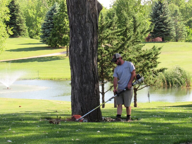 lawn-maintenence-treatments-in-cedar-rapids-manchester-iowa-IMG_0435