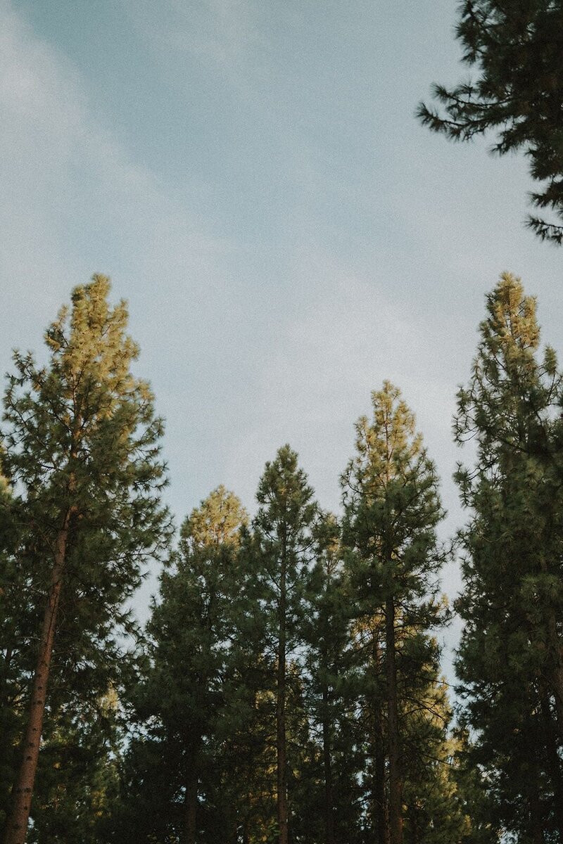 five-pines-sisters-bend-oregon-elopement-curated-mess-co-113