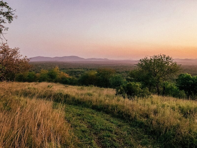 Sundowner in South African bush of pink skies