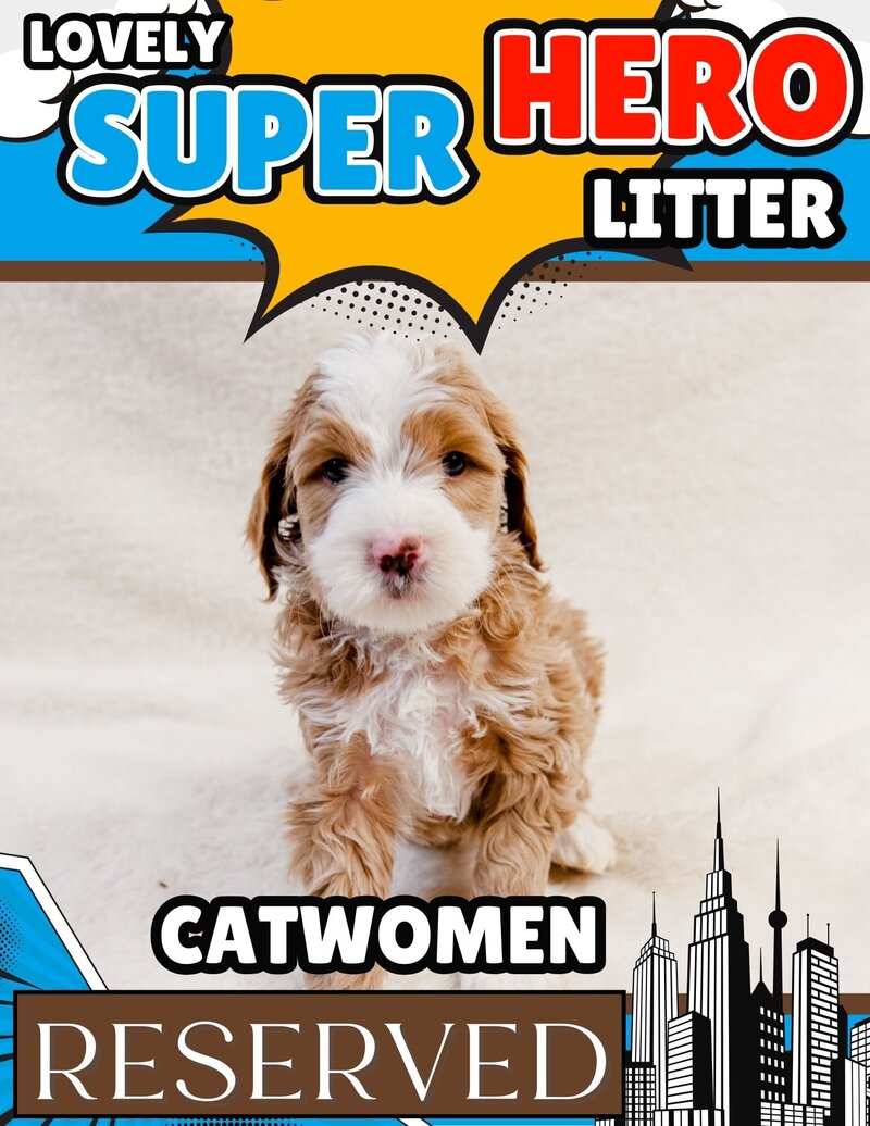 Hero - Brown Catwomen Female
