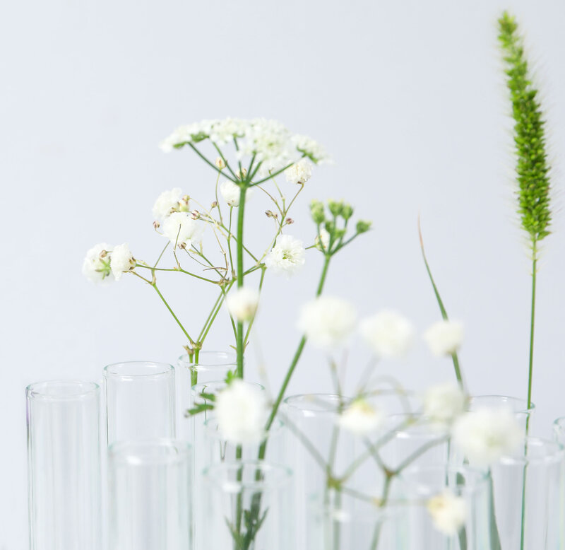 plants and flowers in glass lab test tubes