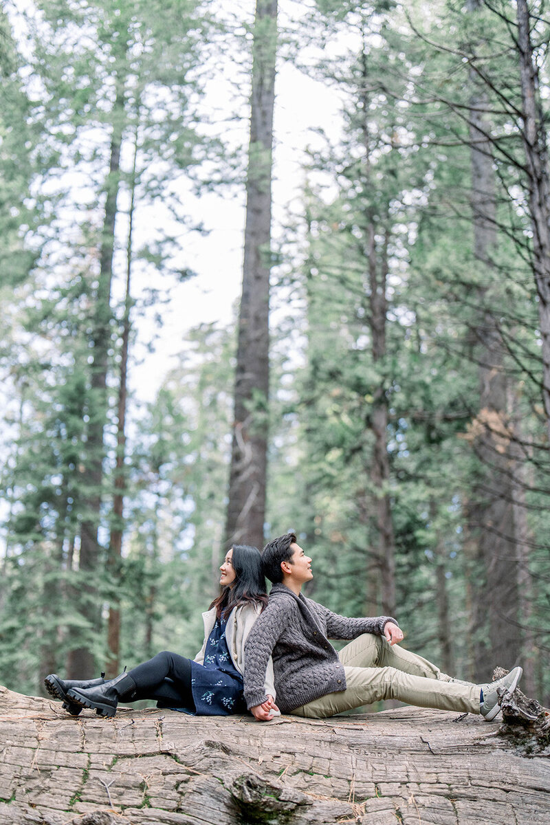 A romantic engagement session amidst the towering trees of Sequoia National Park in California, captured by Tiffany Longeway Photography