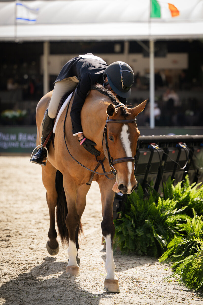 Unbridled MediaAAM_0872