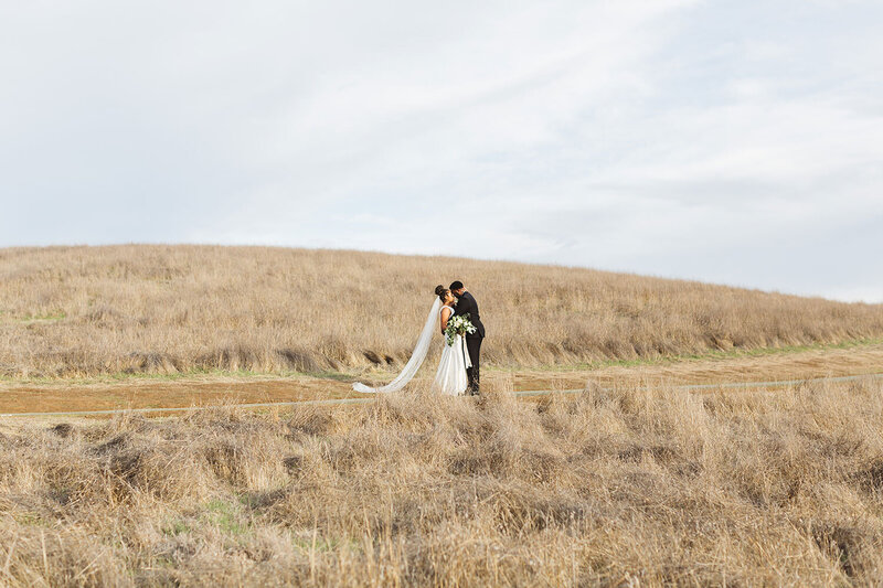 bride and groom standing in a landscape in Bay Area