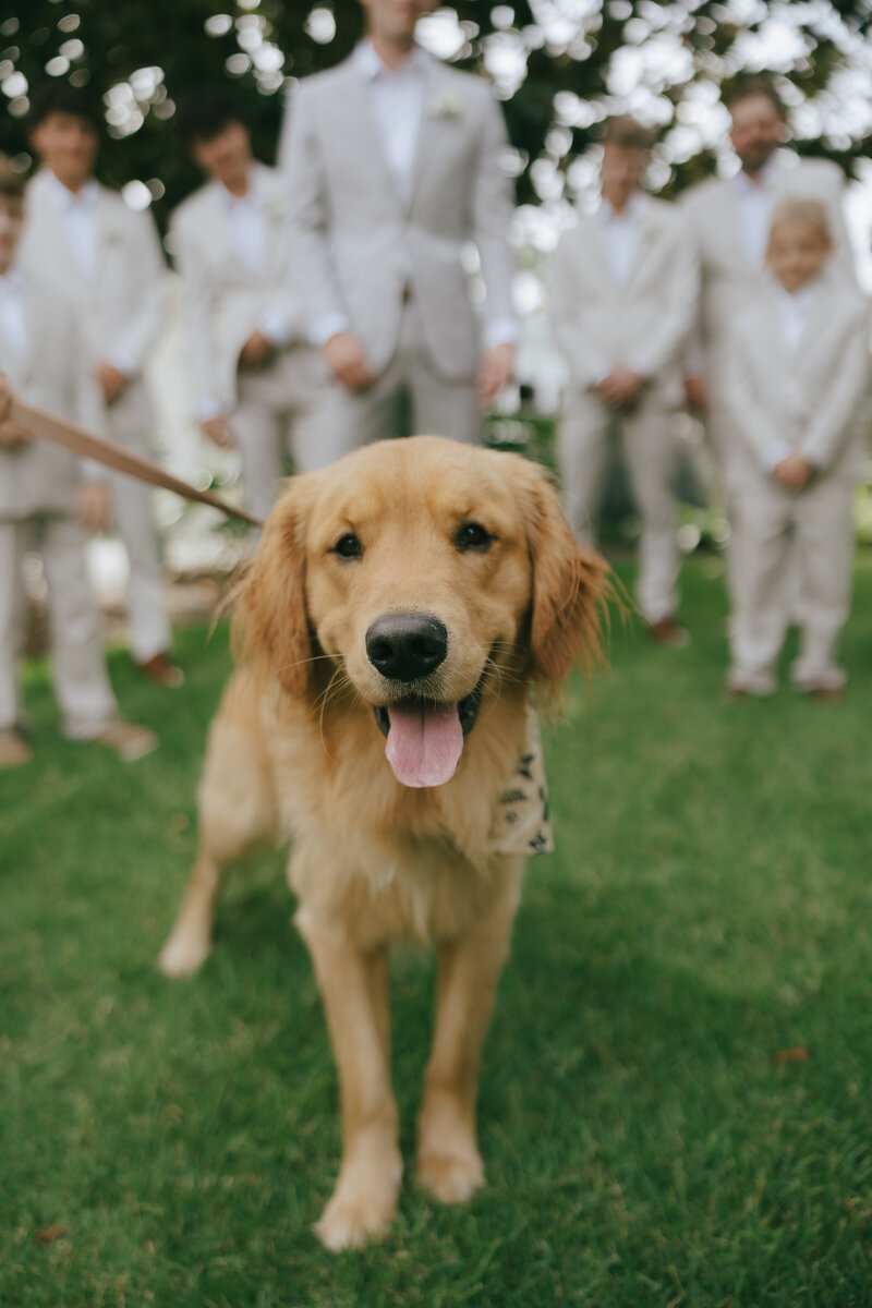30afloridaweddingphotos-21