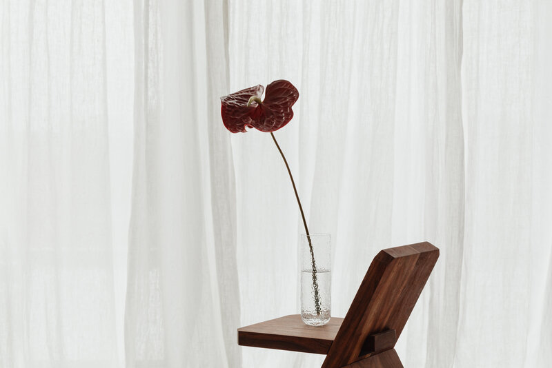 kaboompics_blooming-flower-in-vase-on-wooden-chair-a-charming-still-life-collection-30627