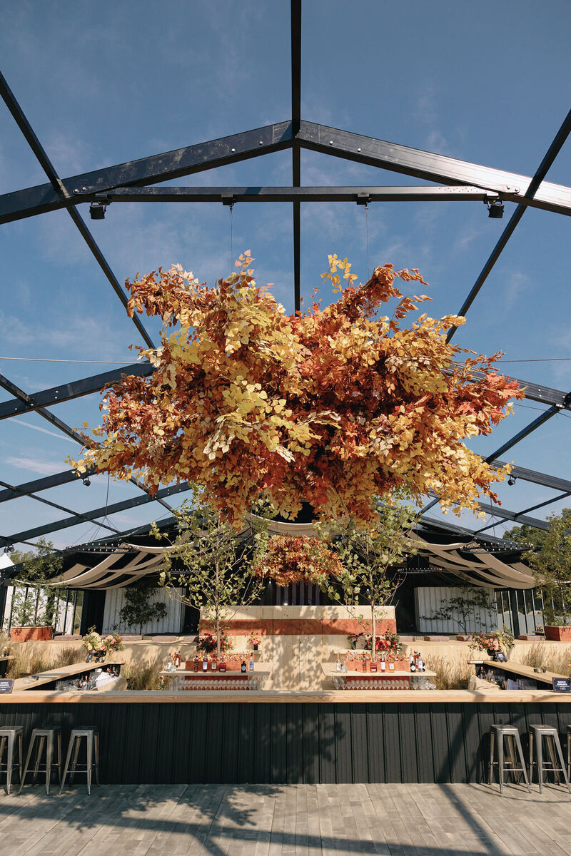 Special-Event-Planner-Bluegrass-Music-Festival-Virginia-0076