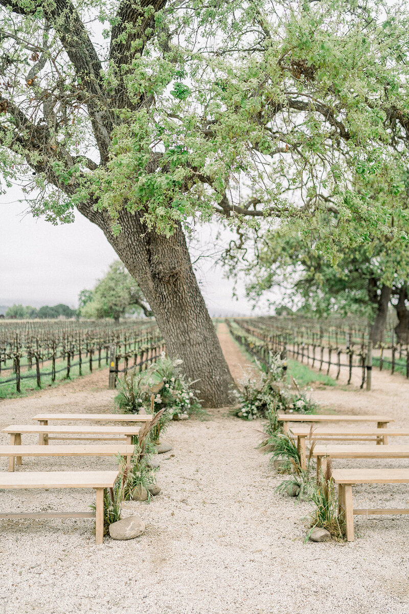 Elegant WeddingCeremony Under the Oak at Sunstone Winery