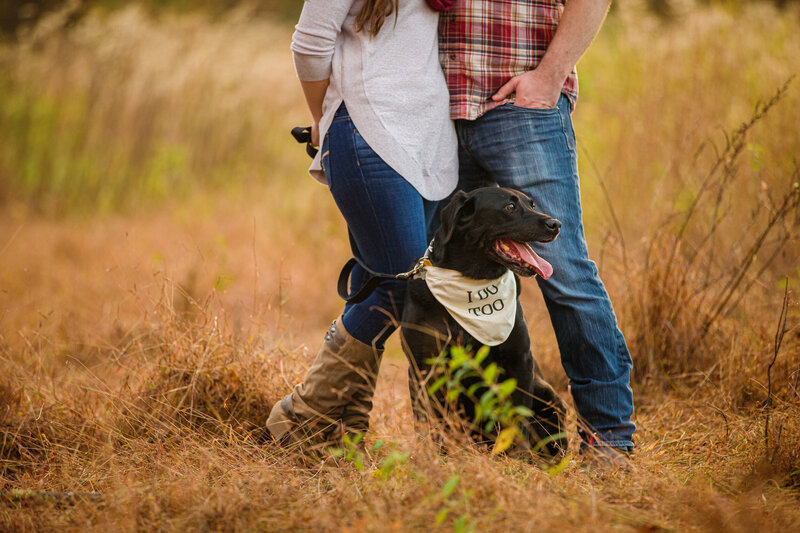 Dog wearing "I do too" collar at engagement session at Valley Forge Park