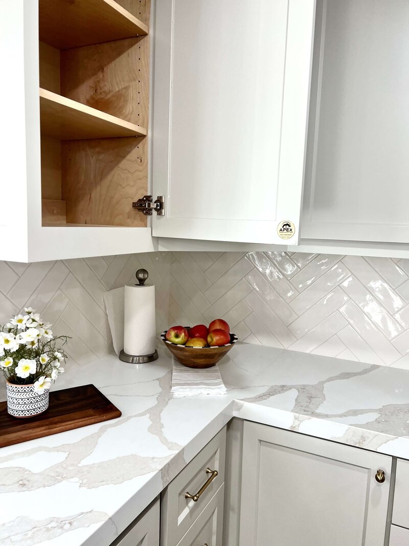 apexconstructioninnovations_4078