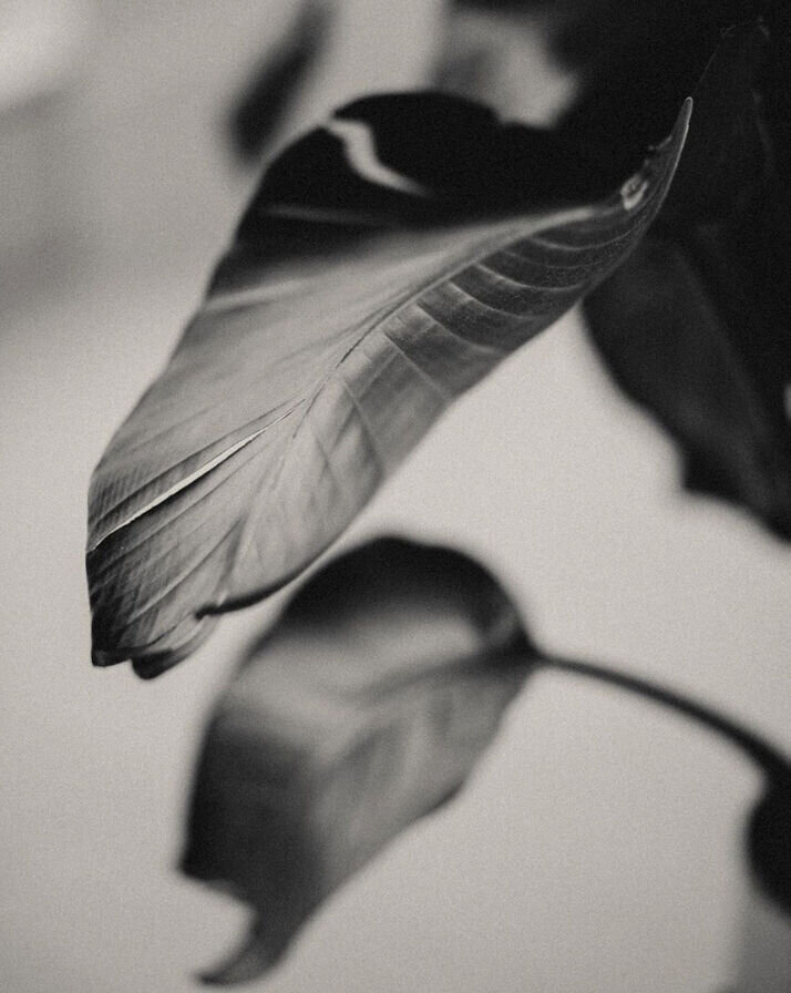 editorial-stock-images22