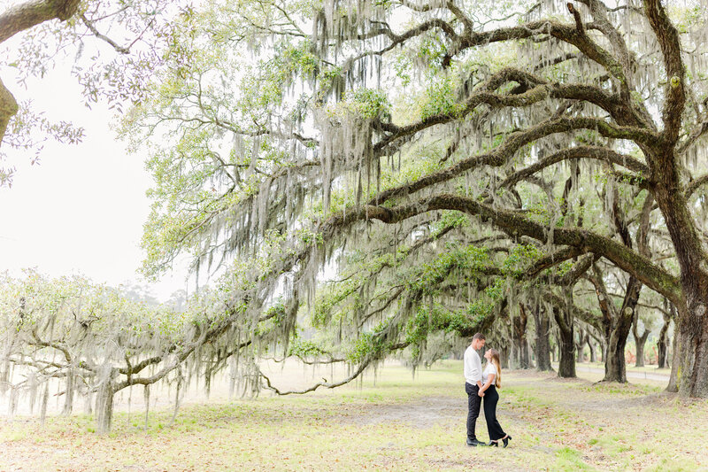 Amelia + Bryce  Wormsloe Engagement Session  Taylor Rose Photography-95