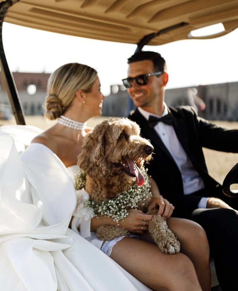pup-with-bride-groom-golfcart