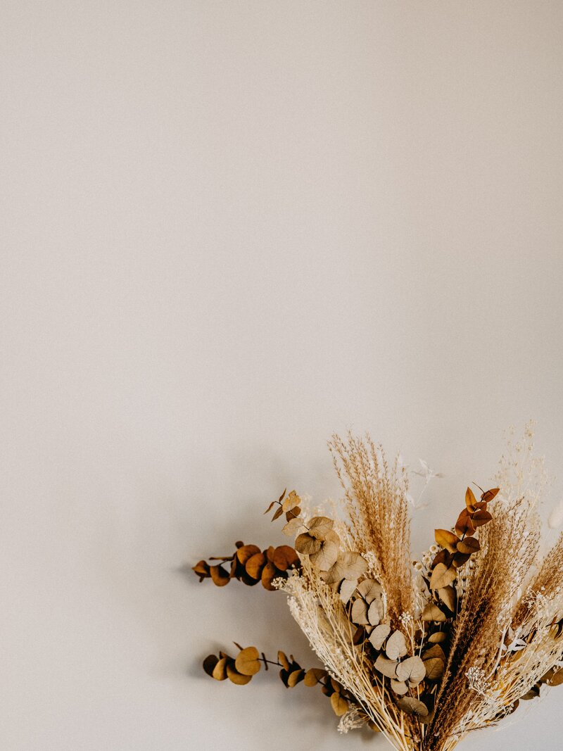 annie-spratt-CWfbmTE0ApE-unsplash