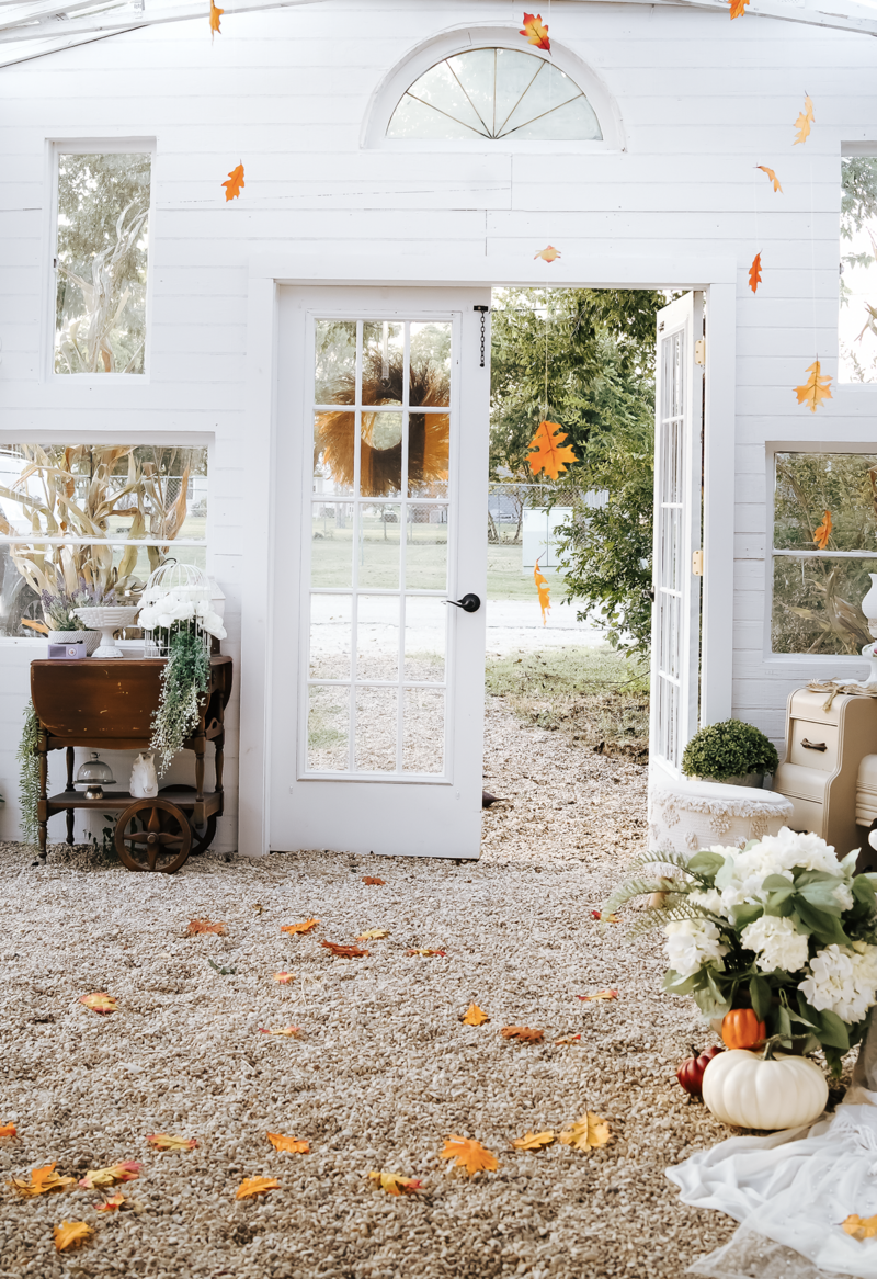 GreenhouseFallpumpkinMiniSession2