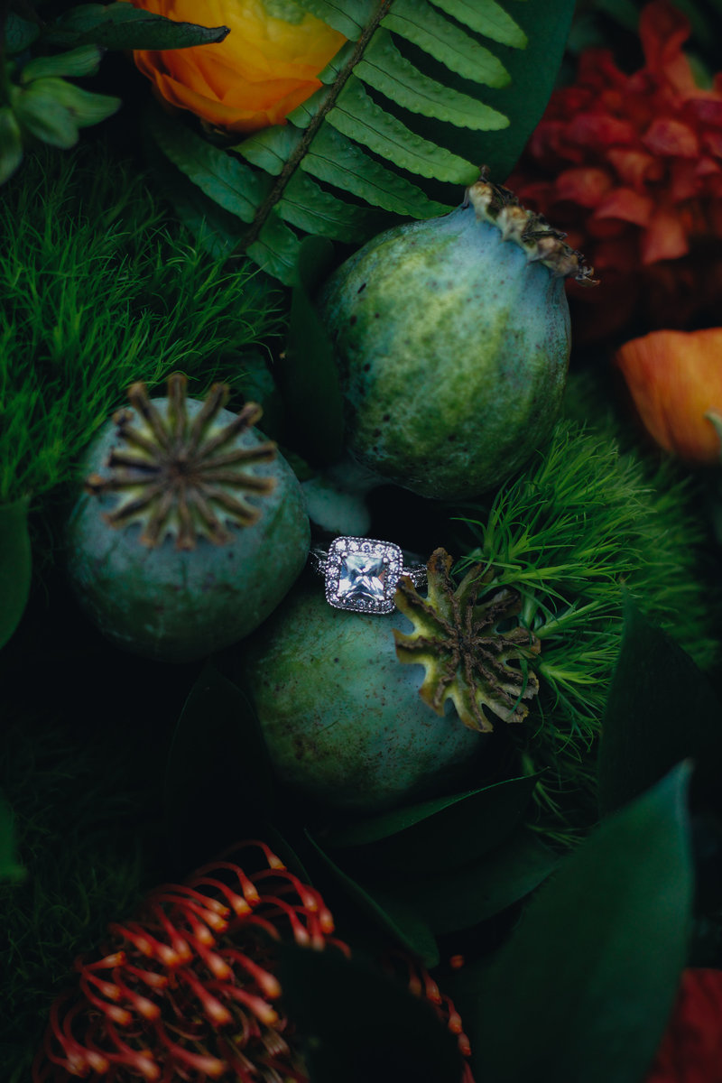 Belle-Isle-Conservatory-Elopement-Elope-Styled-Detroit-Michigan-lifestyle-ChettaraTPhotography-6039