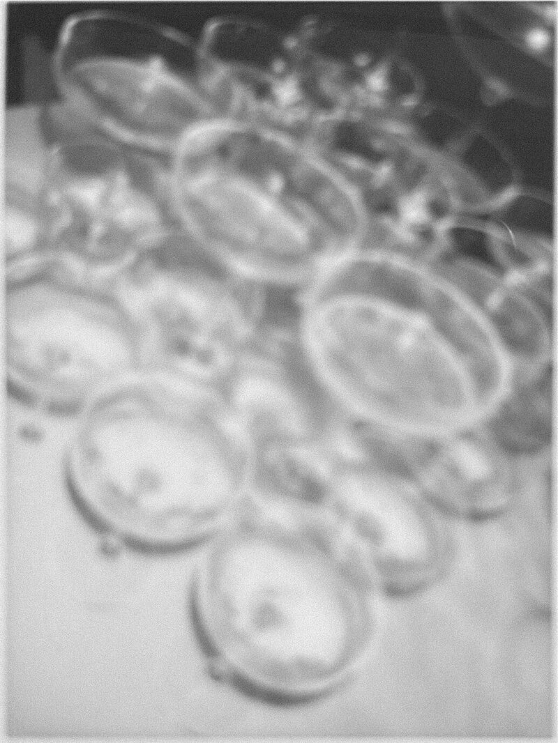 MATT+EMPOLAROIDSCANS-18